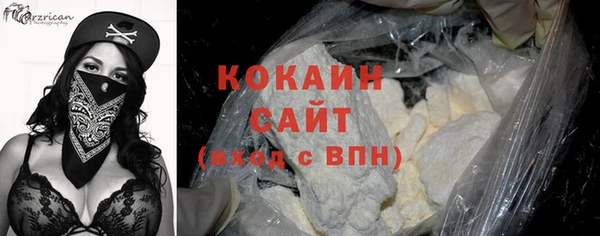 индика Зеленодольск