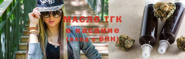 индика Зеленодольск