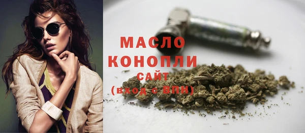 индика Зеленодольск
