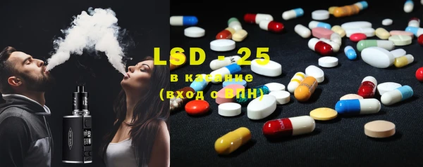 индика Зеленодольск