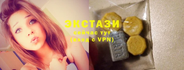 индика Зеленодольск