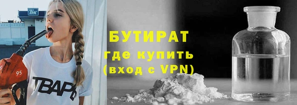 индика Зеленодольск