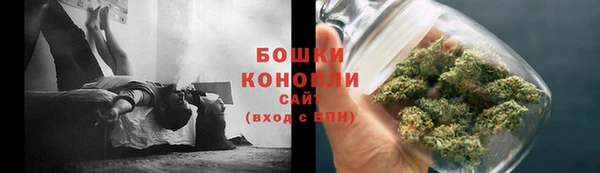 индика Зеленодольск
