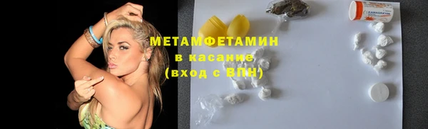 индика Зеленодольск