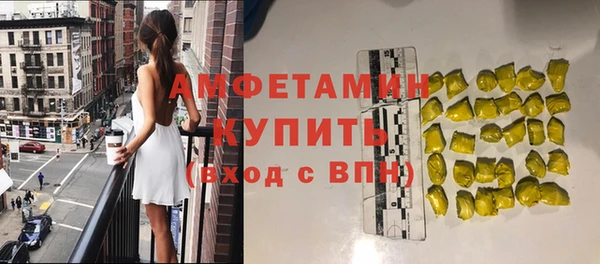 твердый Заводоуковск
