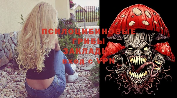 индика Зеленодольск