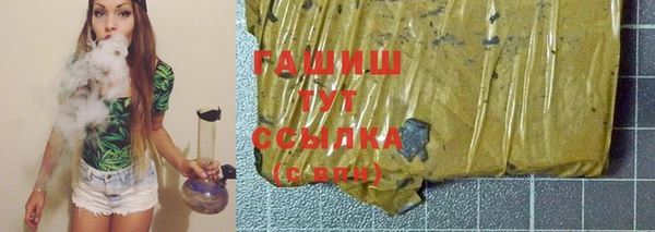 индика Зеленодольск
