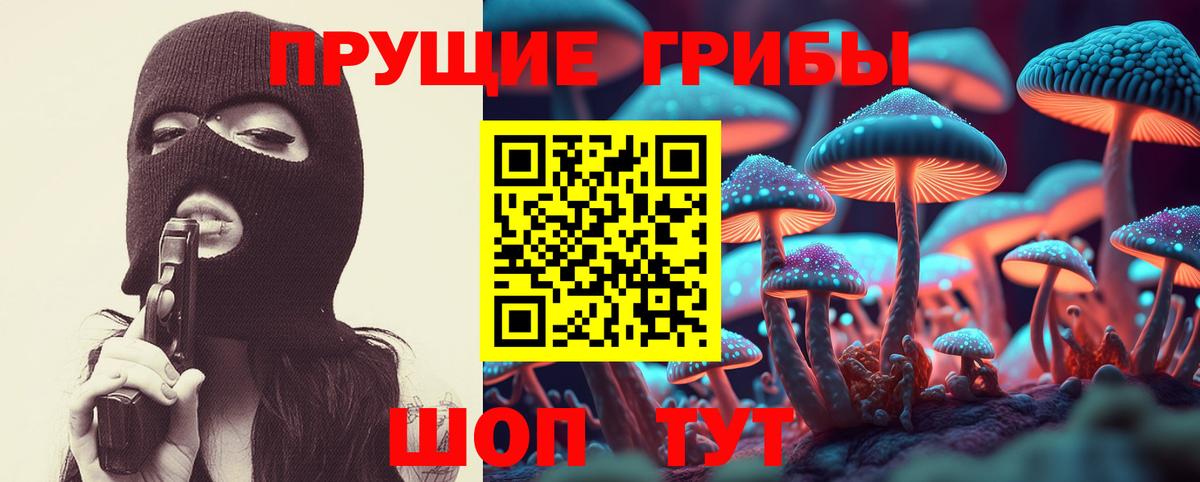 Кореновск  Псилоцибиновые грибы прущие грибы  Вход с VPN  Галлюциногенные грибы Psilocybe 